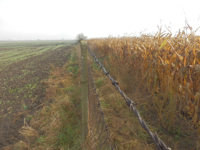 Big decision: take which side of the fence?