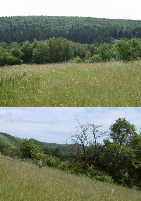 From the hill, a view forward (west) and backward (east)