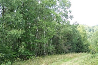 #1: General view of the confluence (towards SW)