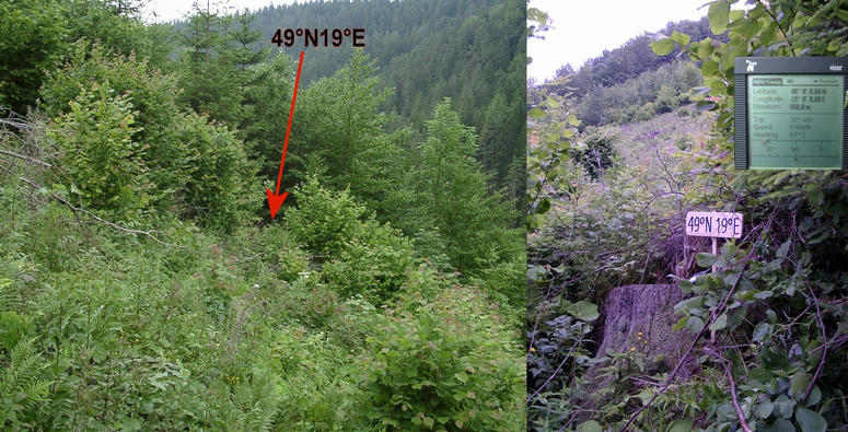 Confluence out of the forest – looking from/to south