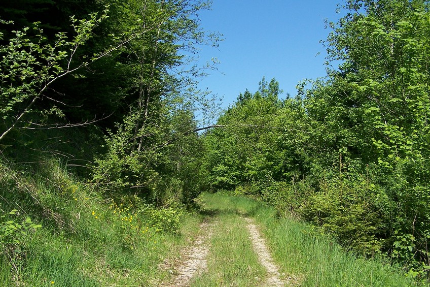 General view of the confluence area (towards W)