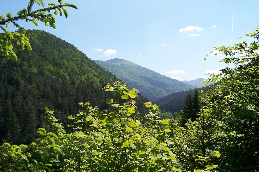 View towards NE from the path