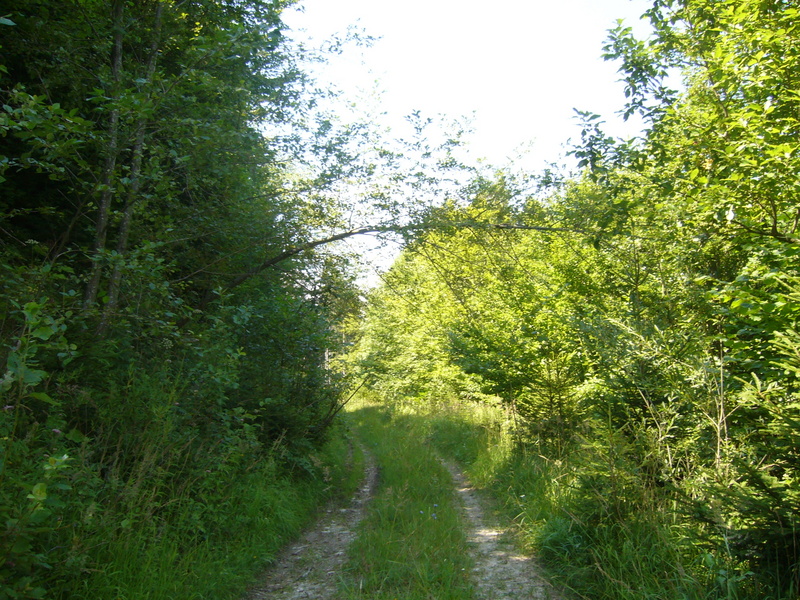 General view of the confluence area ( towards W ) - Widok ogólny w kierunku zachodnim