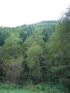 #1: View south from the reservoir towards CP (150 metres)