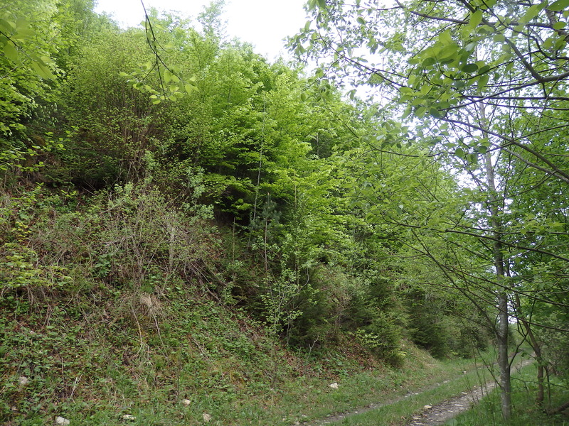 The Confluence from 40 m distance