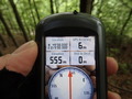 #6: GPS reading