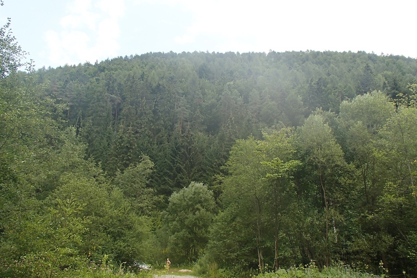 The foothills of Big Fatra / Предгорья Большой Фатры