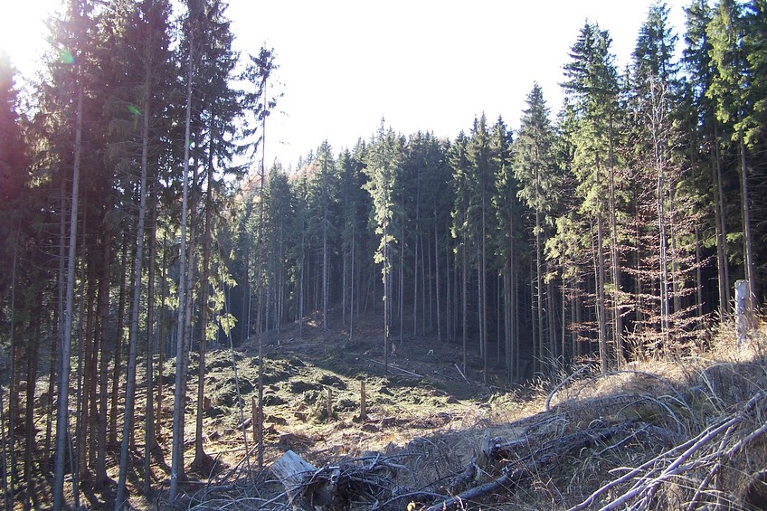 General view of the confluence (towards W)