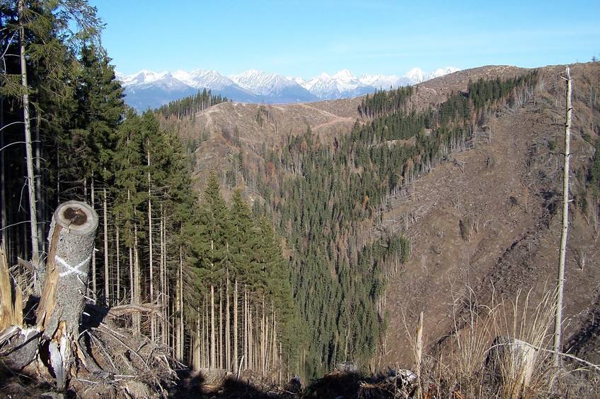 View towards N from the confluence