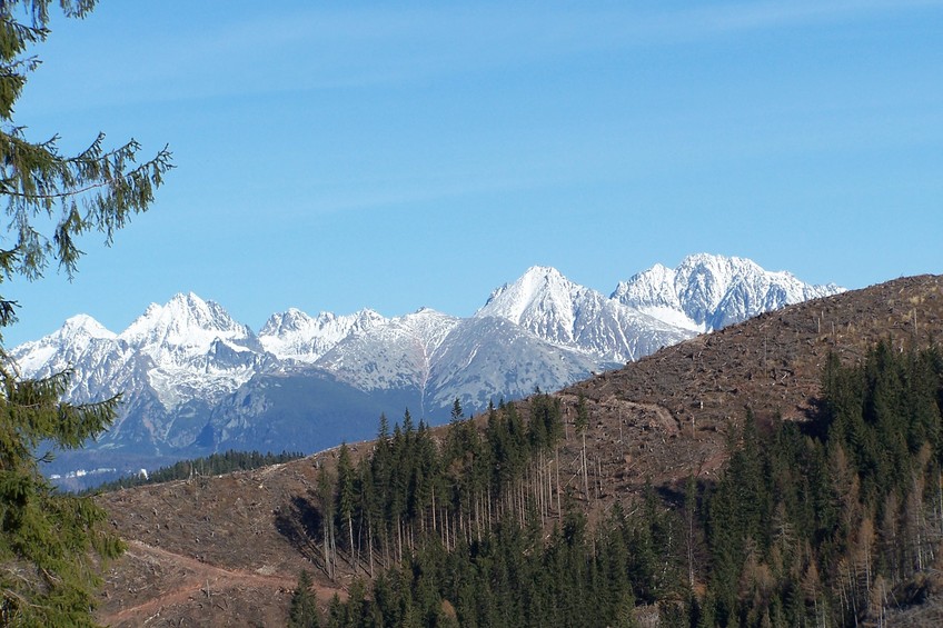 High Tatras from the confluence