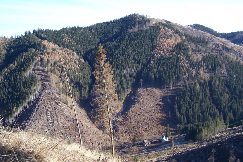 View towards E (Benkovský potok valley) from the confluence