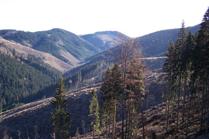 View towards S (Low Tatras) from the confluence