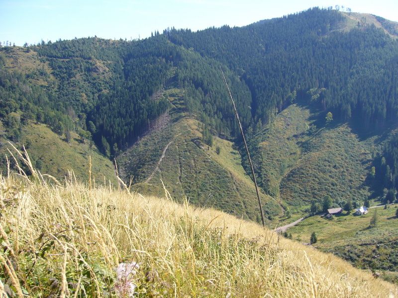 View east. I ascended from the way in the valley.