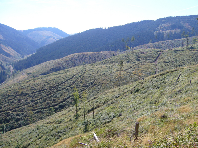 View south. Great view due to cut trees! Note the tracks.