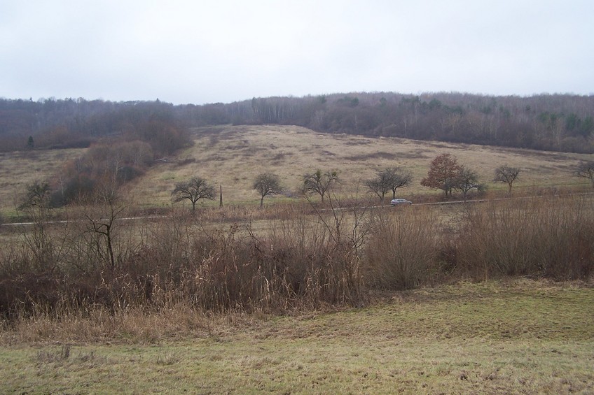 View towards NW from the confluence