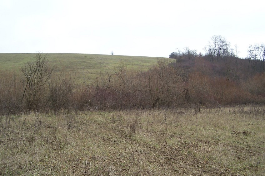 View towards SE (ca. 50 m away from the confluence)