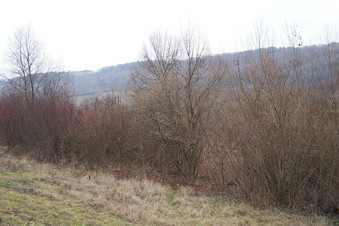 #1: General view of the confluence (towards SW)