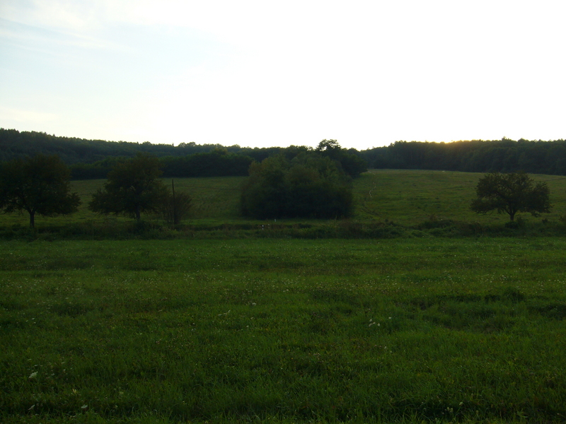 View west few metres west of exact point. Part of the road is visible.