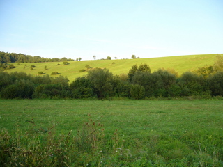 #1: View from the street towards CP at 110 metres distance in the scrub