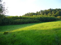 #4: View north a few metres east of exact point