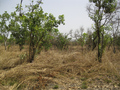 #2: View north from the Confluence