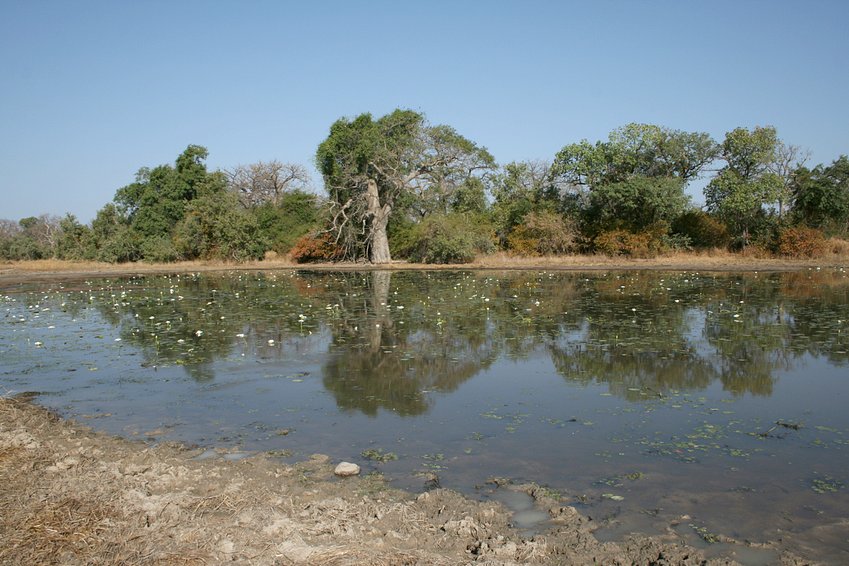 Waterhole near the Confluence