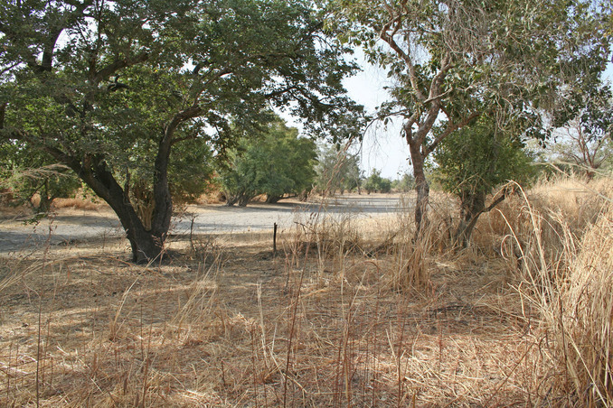 The view south from the Confluence