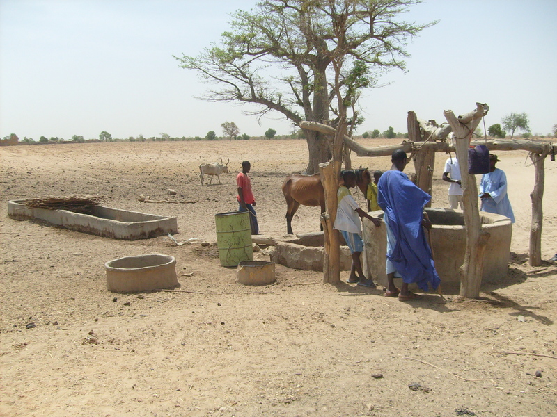 A well in Istiga Amadou, about 9 km southeast of the Confluence