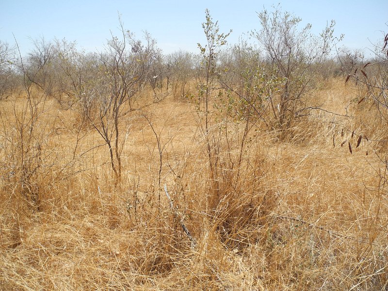 View South from the Confluence