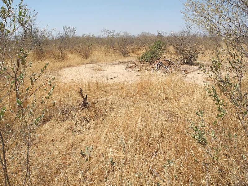 View West from the Confluence