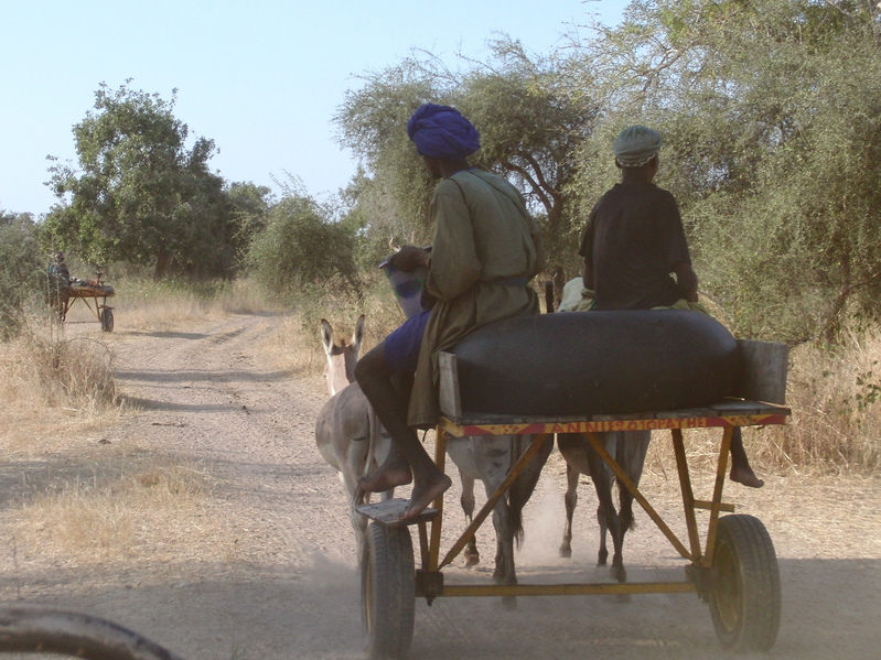 Water transport with tyre tubes