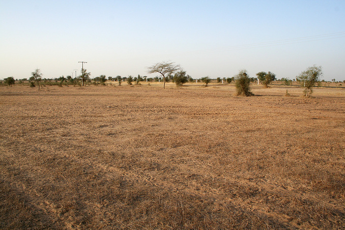 View north from the Confluence