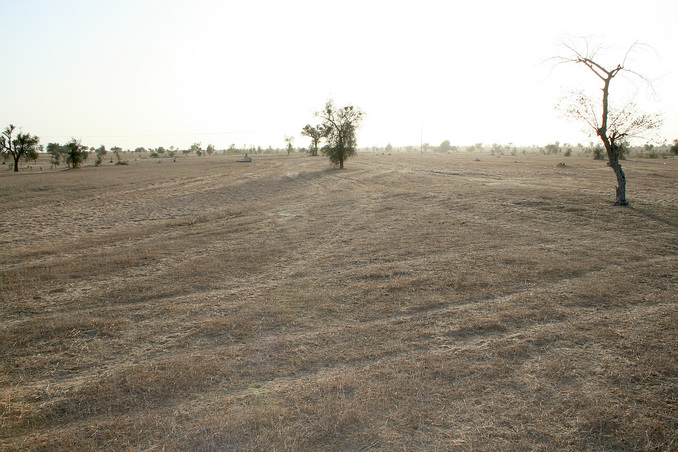 View west from the Confluence