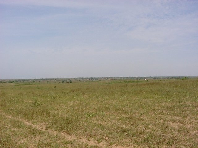 Looking west toward the ocean and the tall dunes marking the beach