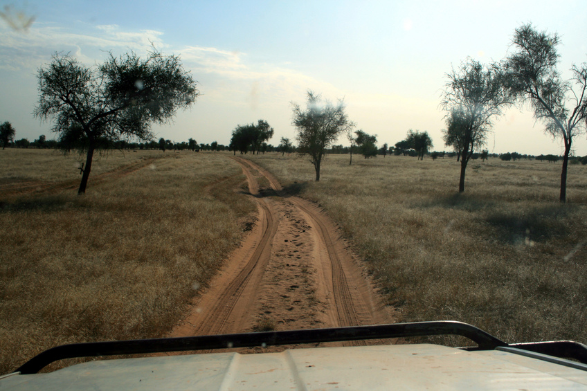 Red double-track across straw-yellow plain