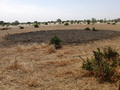 #9: Abandoned huts at Noualko