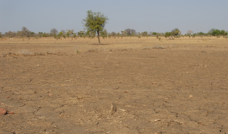 Looking to the Confluence from the Southeast