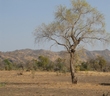 #2: Looking to the East from the Confluence