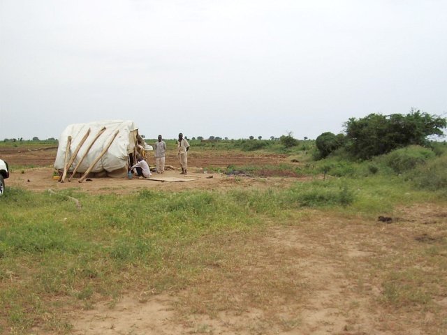 The locals a few metres south