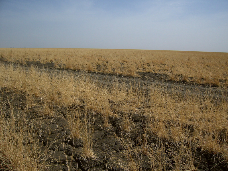 Within 100 meters of the Confluence