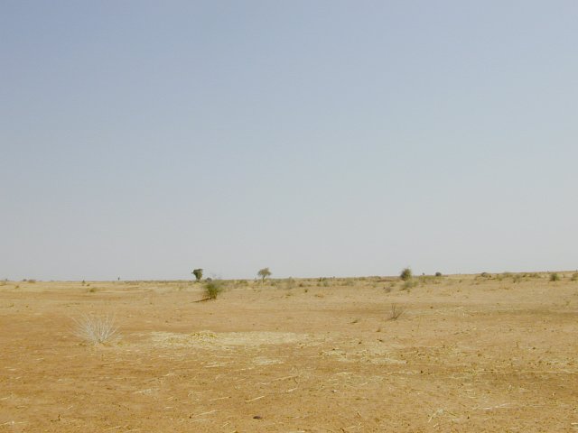 East view from Confluence