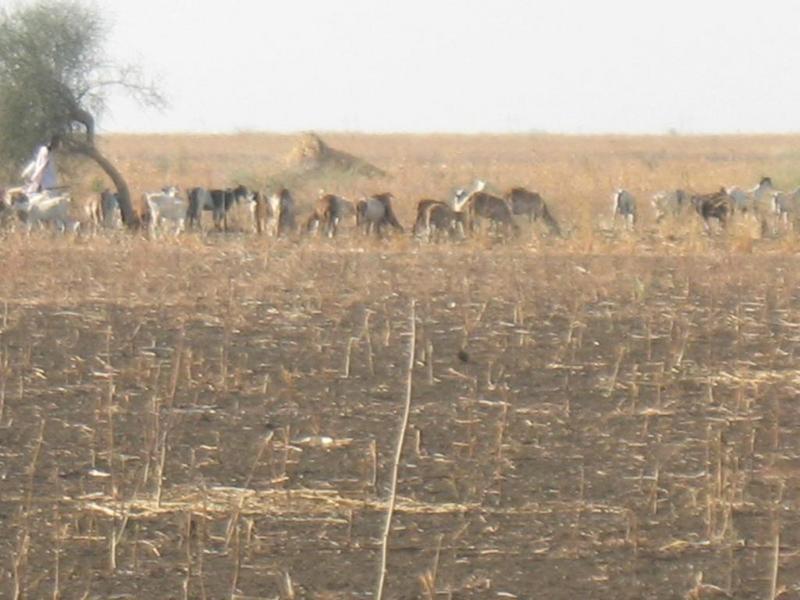 General view