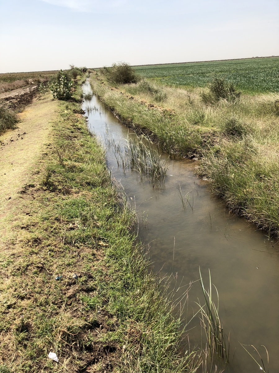 Irrigation channel