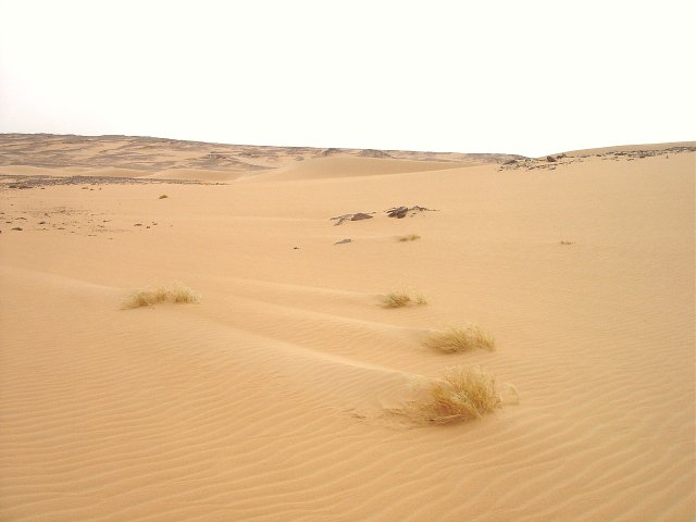 A sand filled valley took us off the plateau and away from 19N 30E