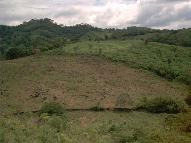 East View from the Confluence