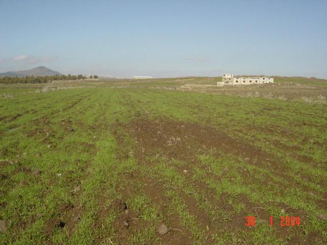 General view with horse farm in background