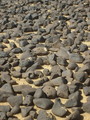 #5: A closer look at the black rocks