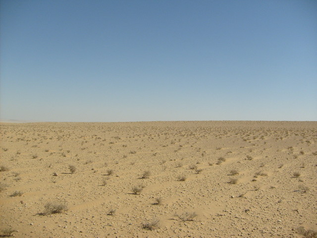 The general area of the Confluence, distance 100 m