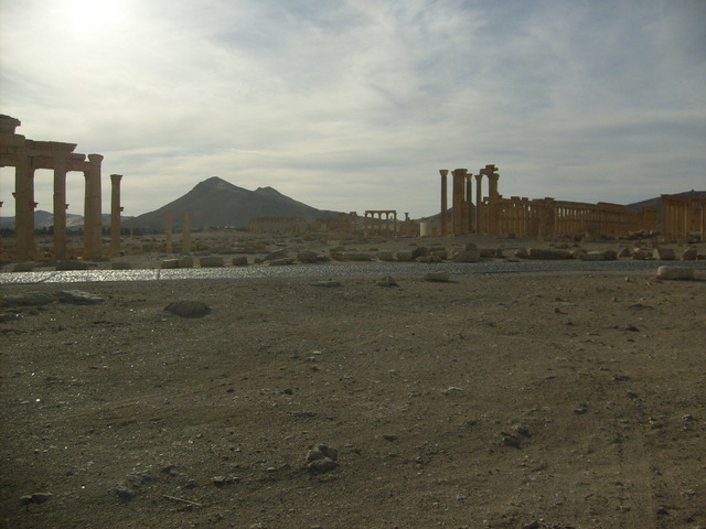 Back to Palmyra