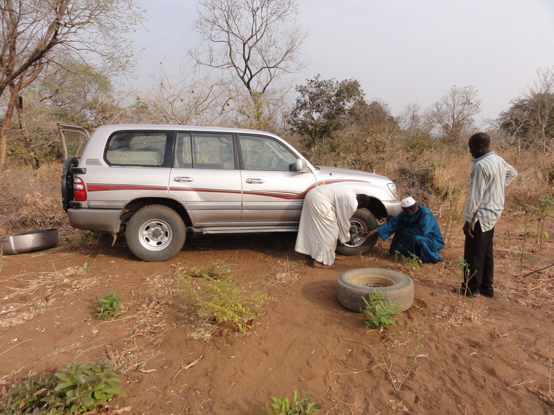 Changing wheel in the Manioc field